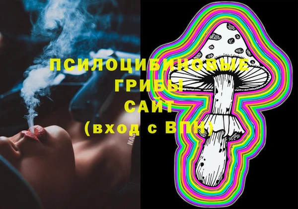 эйфоретик Новодвинск