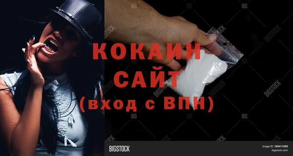 мяу мяу мука Новозыбков