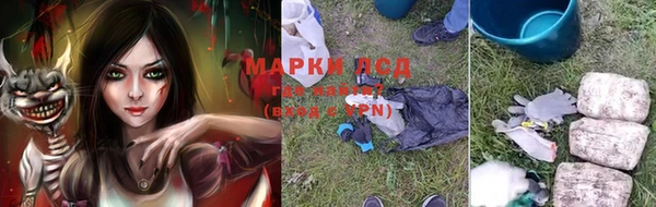 мяу мяу мука Новозыбков