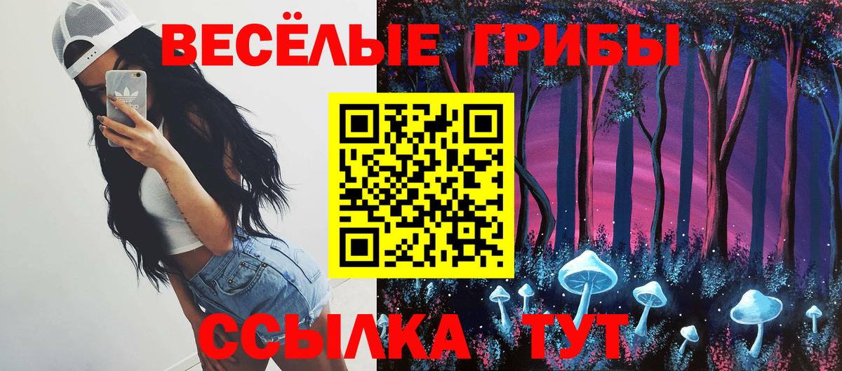 Галлюциногенные грибы GOLDEN TEACHER  Новомосковск 